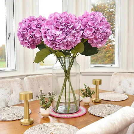 Apartment Beautiful & Luxury Overlooking The Stray Harrogate