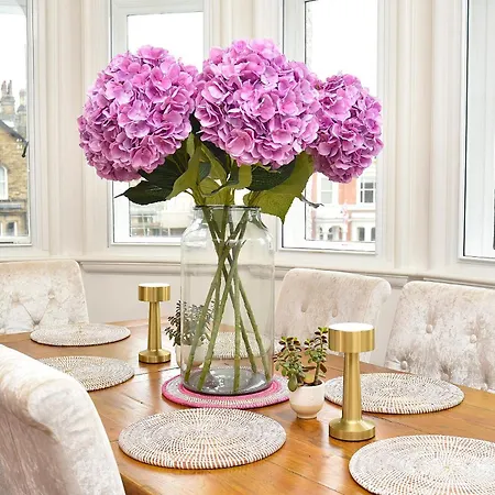 Beautiful & Luxury Overlooking The Stray Apartment *